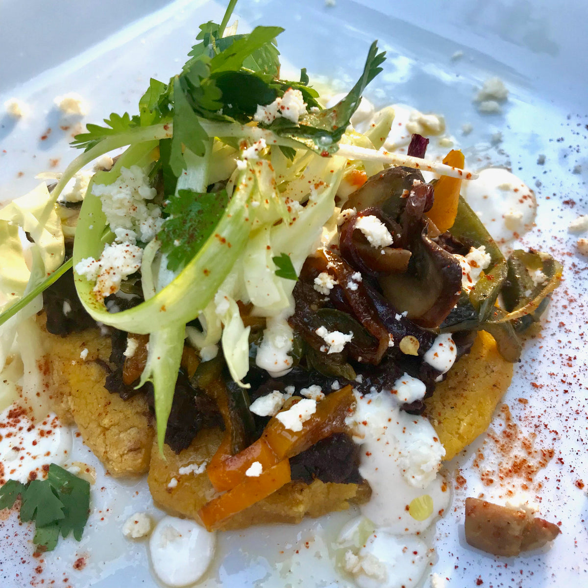 Vegetarian Local Flair Sopes