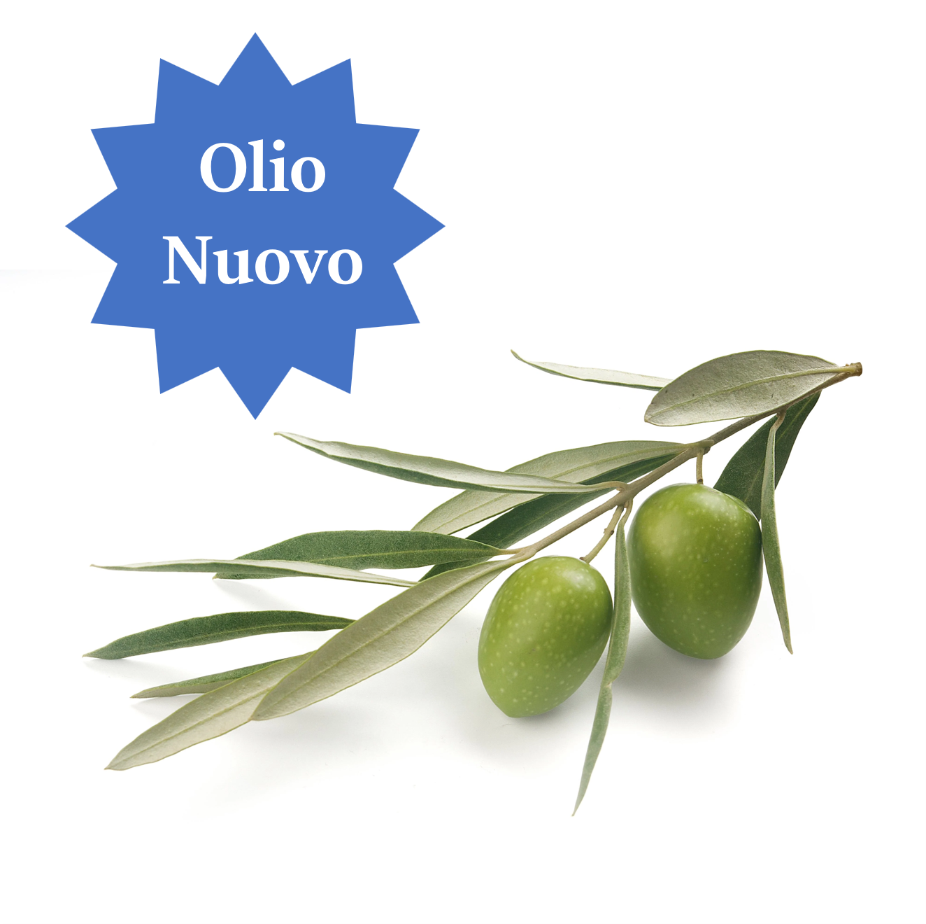 Olio Nuovo 100% Extra Virgin Olive Oil-Medium-2025 Harvest - LIMITED SUPPLY