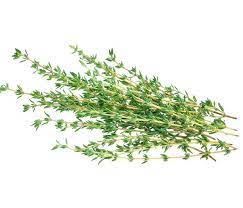 Thyme Infused Organic Olive Oil