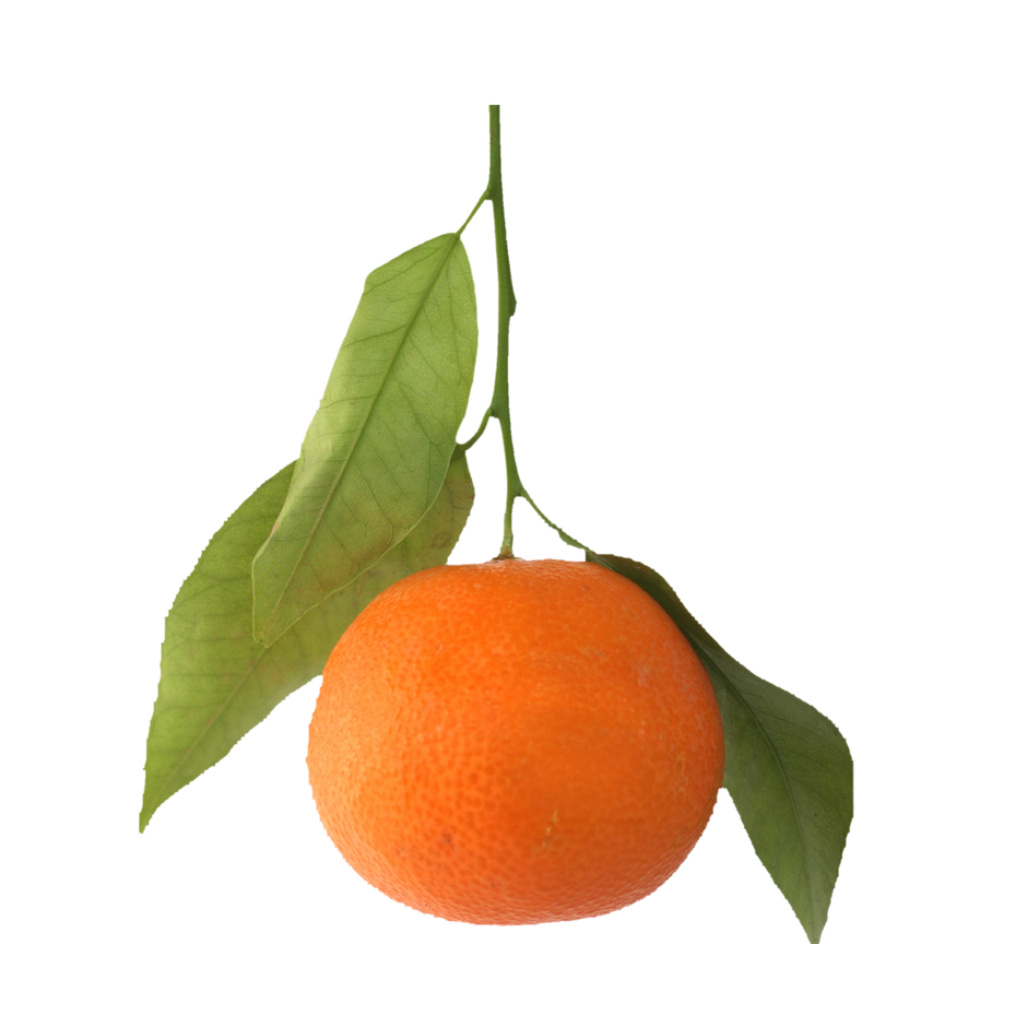 Satsuma Mandarin White Balsamic Vinegar The Olive Groove