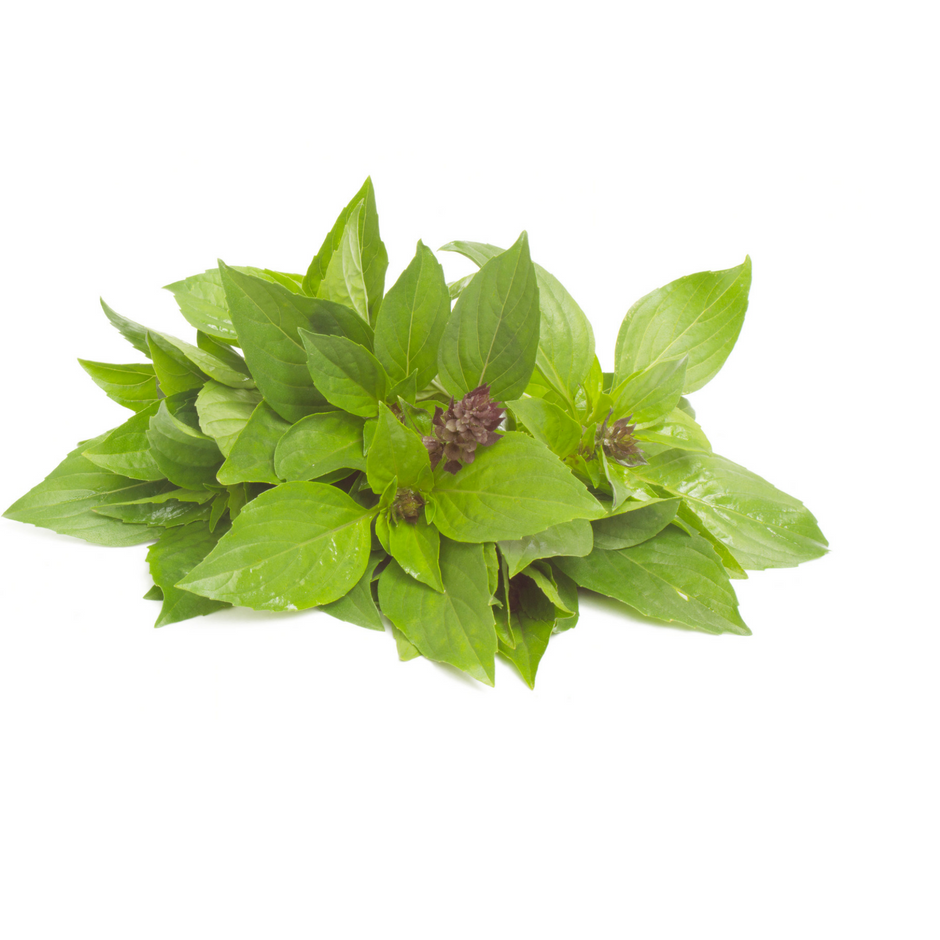 Thai Basil Infused Olive Oil The Olive Groove