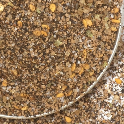 Smoked Lapsang Tea Dry Rub