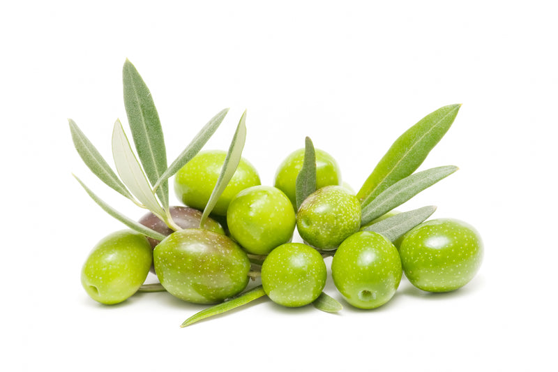 Peranzana 100% Extra Virgin Olive Oil - Medium Intensity