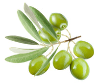 Koroneiki 100% Extra Virgin Olive Oil - Medium/Robust Intensity