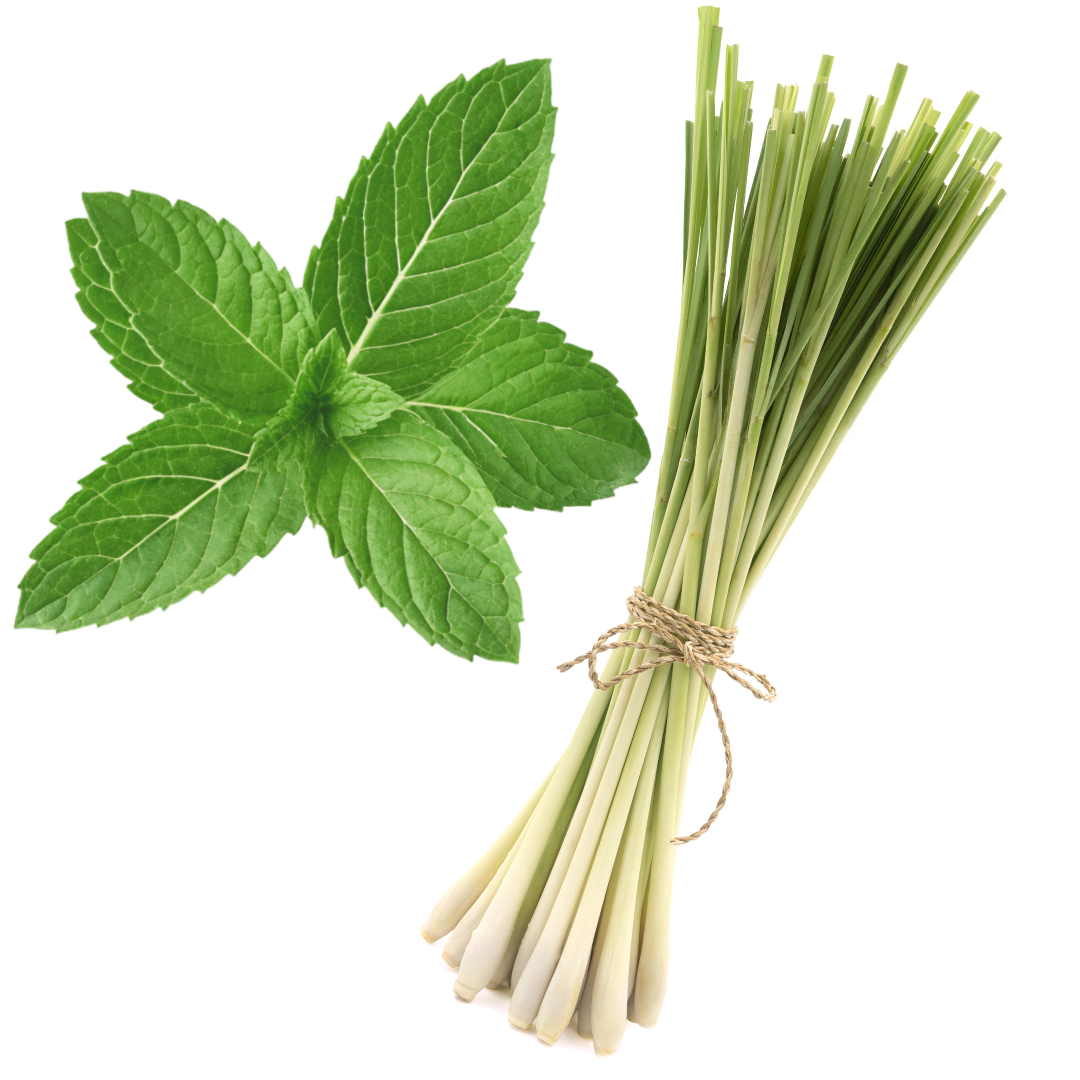 Lemongrass Mint Balsamic Vinegar