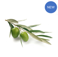 Arbequina 100% Extra Virgin Olive Oil - Mild Intensity
