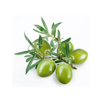 Nocellara 100% Extra Virgin Olive Oil - Medium Intensity