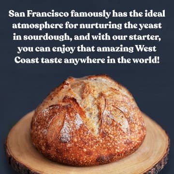 Sourdough Starter San Francisco Style