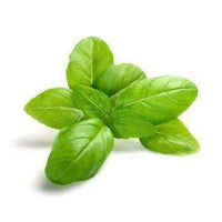 The Olive Groove:Basil Infused Olive Oil