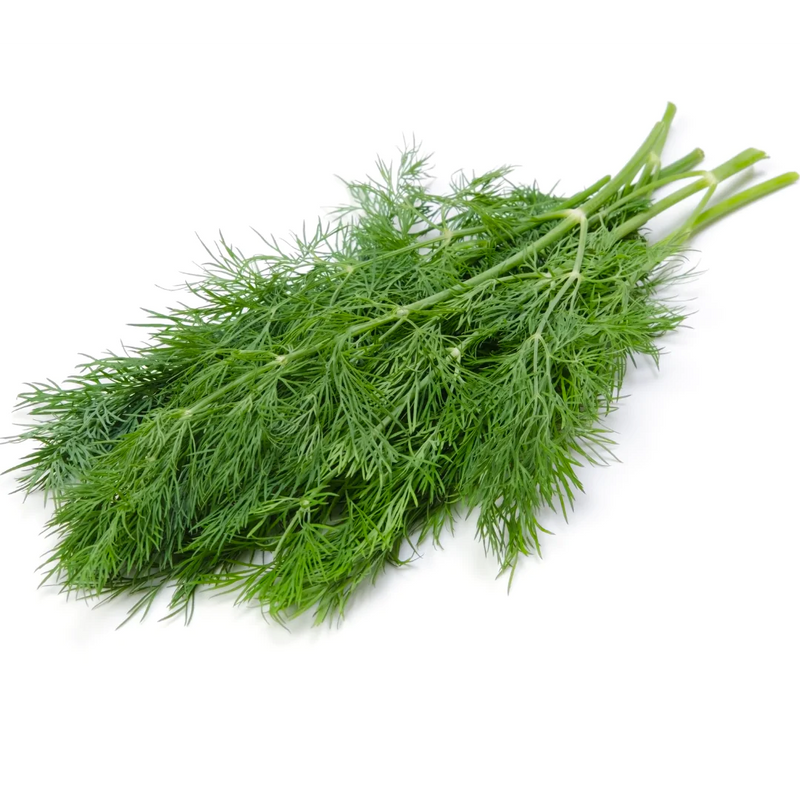 Dill Infused Olive Oil