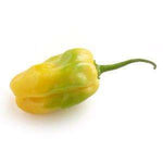 The Olive Groove:Habanero Infused Olive Oil