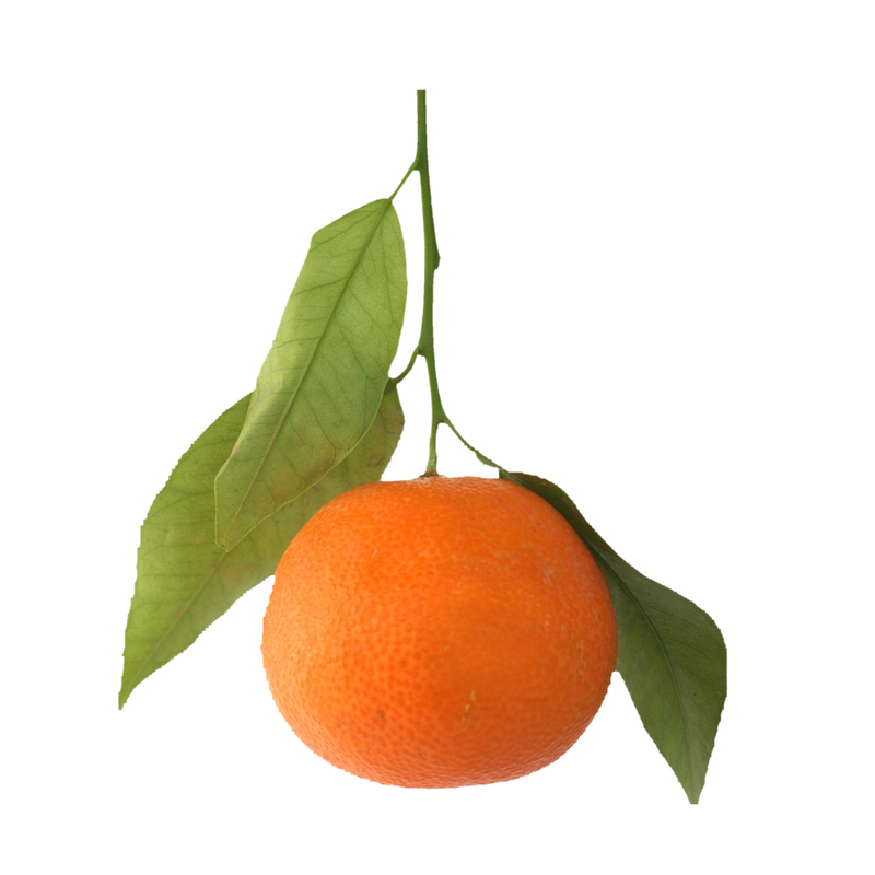 The Olive Groove:Satsuma Mandarin  Balsamic Vinegar