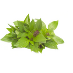 The Olive Groove:Thai Basil Infused Olive Oil