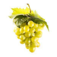 The Olive Groove:Sherry Vinegar