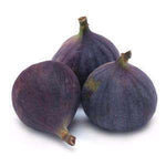 The Olive Groove:Mission Fig Balsamic Vinegar